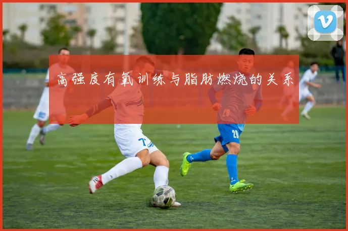 高强度有氧训练与脂肪燃烧的关系