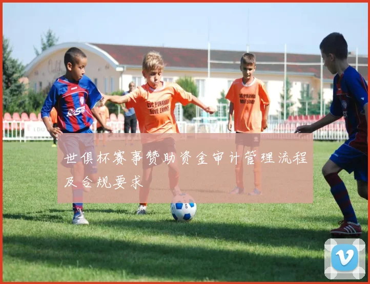 世俱杯赛事赞助资金审计管理流程及合规要求