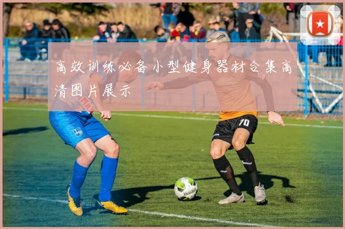 高效训练必备小型健身器材合集高清图片展示