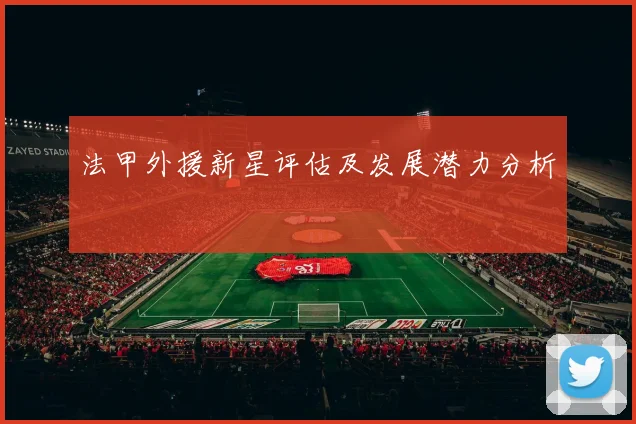 法甲外援新星评估及发展潜力分析