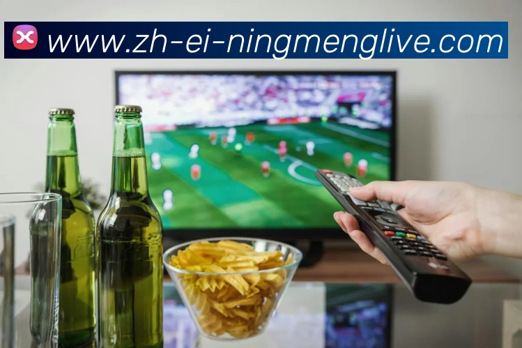 多媒体互动体验